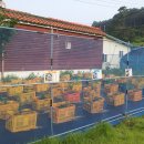 예성농장 이미지