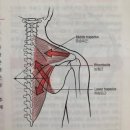 제이엘피트니스 다대점 이미지