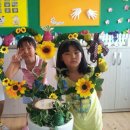 안덕초등학교 이미지