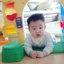 태환농장 이미지