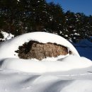 대순진리회 이미지