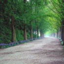 에스엠건설(주) 이미지