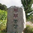 하늘부부농장 이미지