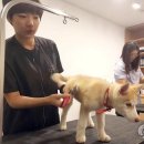 이선희미용실