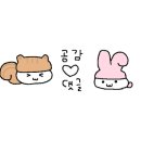 머슬원핏 이미지