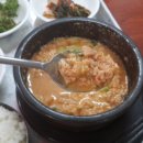 스타스넥