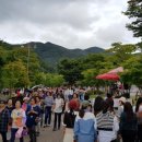 영광 불갑산상사화축제 톡톡뉴스