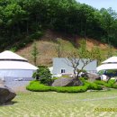 유르트