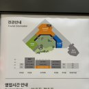 광양가볼만한곳 &lt;LF스퀘어광양&gt; : 쇼핑하기 좋고 식당도 많은 광양 아울렛 구경하고 코닥 구매한 후기