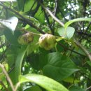 충영농장 이미지