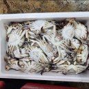 뮤즈 펜션 이미지