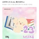 (주)제이에스지 일신정밀점 | 일상ㅣ좌천 일신기독병원 첫 진료ㅣ20주 정밀초음파 후기 ㅣ입체초음파사진ㅣ임신중기 일상ㅣ메리메이어...