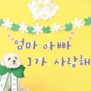 멍데이 이미지