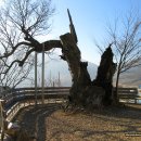 운문마을회관 이미지