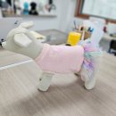 애견패션제작 이미지