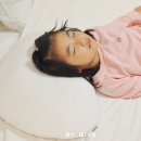 원컴퓨터세탁 | 세탁쉬운 베개 커버 옆으로 자는 베개 템퍼 소나타 베개 추천