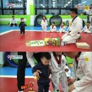 대박 태권도장 이미지