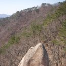 화북면사무소 이미지