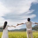 (주)테마여행사 이미지