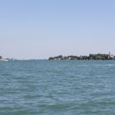 고대1105 이미지