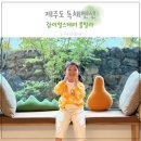 제주도 가족 독채펜션 실내 수영장 자쿠지 애월 감성숙소 추천