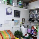 등대약국 이미지