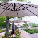 순천만국가정원(동문) 이미지