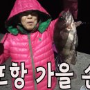 척포항 미역치redfin velvetfish에 물리면? 볼락 손맛, 척포항 냥이들은 왜 생선을 안먹을까? 이미지