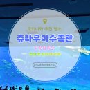 거북인쇄공사 | 츄라우미 수족관, 츄라우미 파파이야