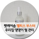 강아지 보습제 전문 펫케어솝으로 털관리해