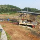 김진수농장 이미지