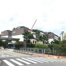 수원-1197 이미지