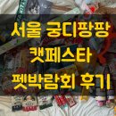 서울 양재 궁디팡팡 캣페스티벌 펫박람회 오픈런 후기 및 업체 정보 꿀팁