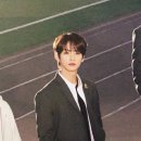 리노 이미지