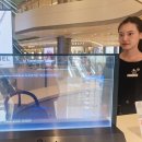 청두훠궈 이미지