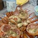 장사항홍게사랑 | 속초 홍게 맛집 장사항홍게사랑 내돈내산 맛집 가격 후기