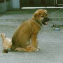 허브 당구장 이미지