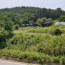 어상천면사무소 이미지