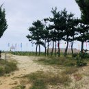 22.9 동해시 나인비치37, 왕성횟집(하프 현지인)