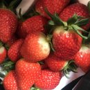 광시농장 이미지