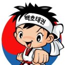 은평 백호 태권도장 이미지