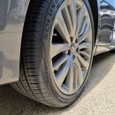 팀모터스 이미지