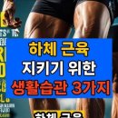 꿀팁 하체 근육 키우기 위한 3가지 이미지