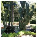 행복을 주는 집 이미지