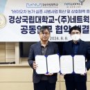 와이네트웍스 - 북구 명촌21길 11 | 와이네트웍스