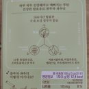 샤인에이치 이미지