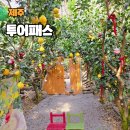 남원읍-24 | 제주투어패스 24시간 활용방법 쉬엄쉬엄 6곳 다닌 후기