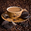 바리스타 이미지