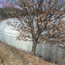 율길2리 마을회관 이미지