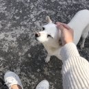 샘밭목장 이미지